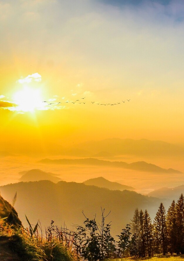 Méditer en conscience