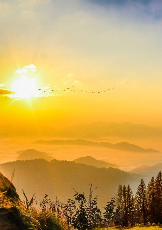 Méditer en conscience